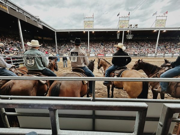 Les meilleures formations de pétanque 2025 pour s'épanouir !